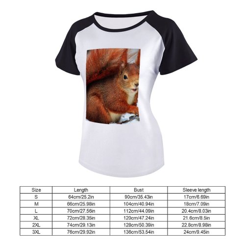 yanfind Women's Sleeve Raglan T Shirt Short Cute Daylight Fox Squirrel Fur Little Outdoors Portrait Rodent Snow Tail Whiskers