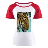 yanfind Women's Sleeve Raglan T Shirt Short Big Cat Carnivore Pool Wild Wildlife