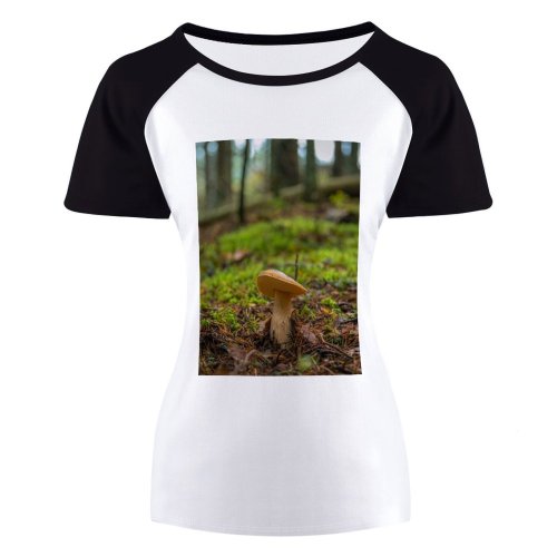 yanfind Women's Sleeve Raglan T Shirt Short Boletus Daylight Edible Agaric Forest Fungus Grass Growth Mushroom Outdoors Season