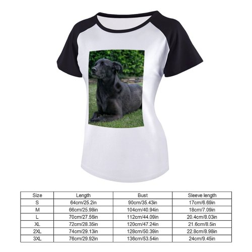 yanfind Women's Sleeve Raglan T Shirt Short Adorable Dog Cute Eyes Fur Grass Little Loyalty Pedigree Pet Portrait Puppy