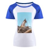 yanfind Women's Sleeve Raglan T Shirt Short Adorable Sky Cat Face Cute Funny Fur Hazardos Kitten Kitty Little