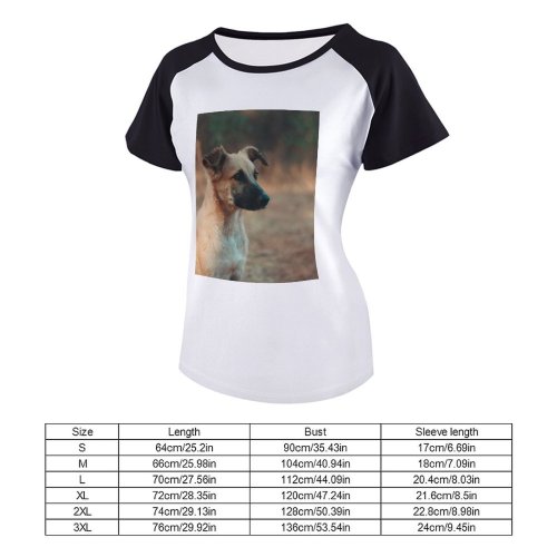 yanfind Women's Sleeve Raglan T Shirt Short Cute Dog Fur Pet Portrait Puppy Sit