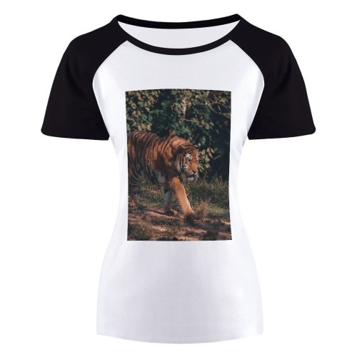 yanfind Women's Sleeve Raglan T Shirt Short Big Cat Carnivore Daylight Felidae Fur Grass Ground Hunter Jungle Leaves Outdoors