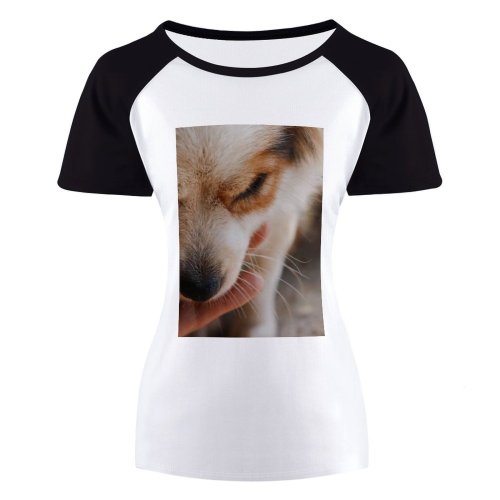 yanfind Women's Sleeve Raglan T Shirt Short Adorable Cute Dog Eyes Focus Fur Furry Little Pet Portrait Pup