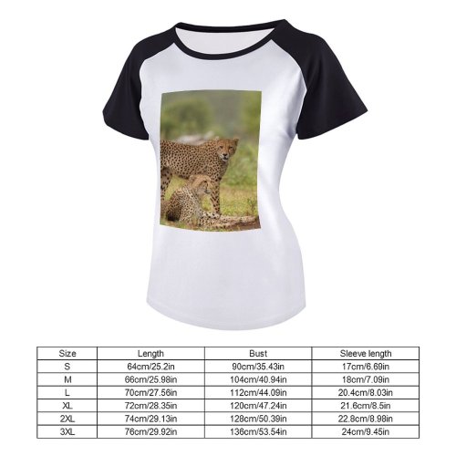 yanfind Women's Sleeve Raglan T Shirt Short Big Cat Carnivore Cheetahs Danger Dangerous Daylight Eyes Fur Grass Grassland Hunter
