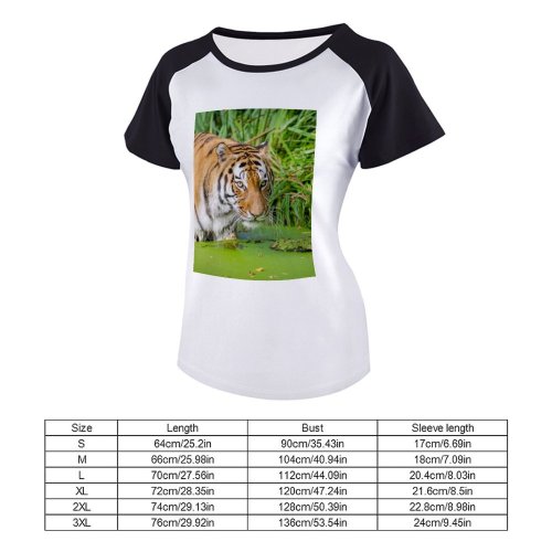 yanfind Women's Sleeve Raglan T Shirt Short Big Cat Carnivore Felidae Fur Plants Rock Stripes Tigris Whiskers