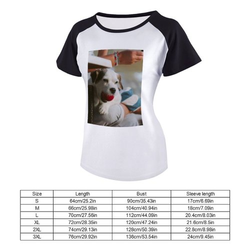 yanfind Women's Sleeve Raglan T Shirt Short Ball Colorful Colourful Cute Daylight Dog Outdoors Pet Portrait Puppy Sit
