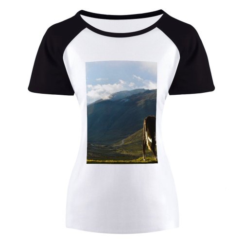 yanfind Women's Sleeve Raglan T Shirt Short Cattle Clouds Cloudy Countryside Cow Daylight Eating Field Grass Grassland Hike Hills