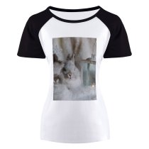 yanfind Women's Sleeve Raglan T Shirt Short Cute Eyes Fur Grey Lamp Mammals Rabbits Whiskers