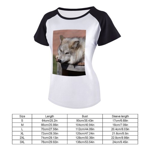 yanfind Women's Sleeve Raglan T Shirt Short Attentive Blurred Calm Comfort Creature Doghouse Ecosystem Fauna Fluff Fur Gaze Habitat