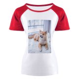 yanfind Women's Sleeve Raglan T Shirt Short Adorable Carpet Cute Dog Fur Little Pedigree Pet Portrait Puppy Rug Sit