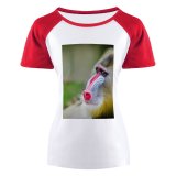 yanfind Women's Sleeve Raglan T Shirt Short Cute Monkey Primate Wildlife _