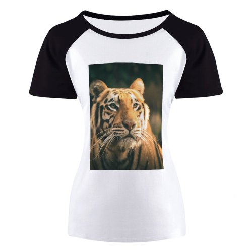 yanfind Women's Sleeve Raglan T Shirt Short Big Cat Carnivore Eyes Felidae Fur Gaze Hunter Jungle Outdoors Portrait
