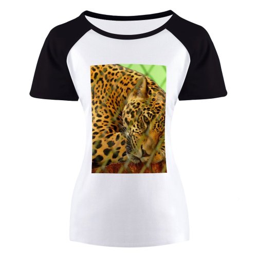 yanfind Women's Sleeve Raglan T Shirt Short Cat Fence Fur Hunter Leopard Outdoors Safari Wild Wildlife