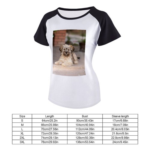 yanfind Women's Sleeve Raglan T Shirt Short Adorable Dog Eyes Fur Little Outdoors Pet