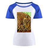yanfind Women's Sleeve Raglan T Shirt Short Cat Fence Fur Hunter Leopard Outdoors Safari Wild Wildlife