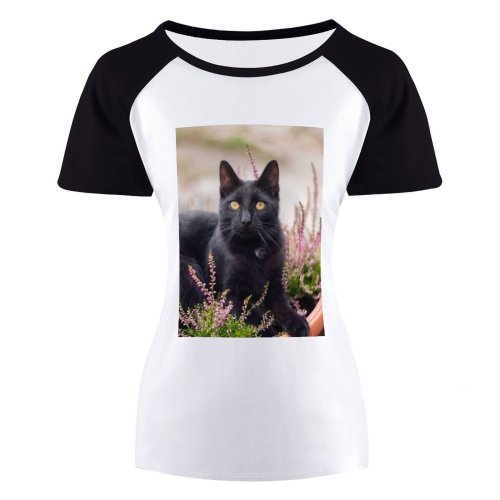 yanfind Women's Sleeve Raglan T Shirt Short Cat Face Eyes Fur Outdoors Pet Whiskers
