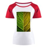 yanfind Women's Sleeve Raglan T Shirt Short Flora Freshness Garden Growth Leaf Macro Texture Vein