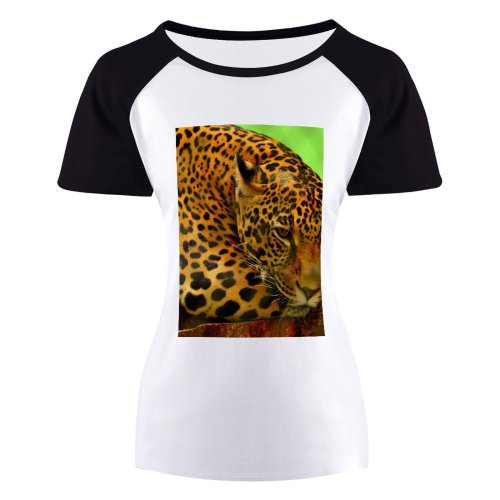 yanfind Women's Sleeve Raglan T Shirt Short Big Cat Jaguar Safari Wild Wildlife