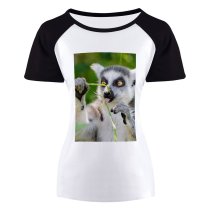 yanfind Women's Sleeve Raglan T Shirt Short Cute Lemur Primate Wildlife