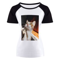yanfind Women's Sleeve Raglan T Shirt Short Adorable Cat Cats Cute Eyes Kitten Little Pet Whiskers