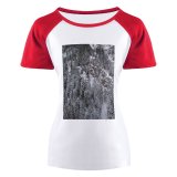 yanfind Women's Sleeve Raglan T Shirt Short Fir Trees Forest Freezing Frost Frosty Frozen Idyllic Landscape