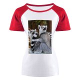 yanfind Women's Sleeve Raglan T Shirt Short Cute Furry Lemur Catta Lemurs Outdoors Primate Wildlife