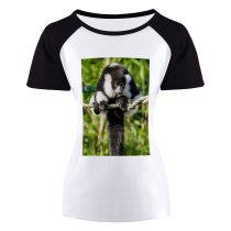 yanfind Women's Sleeve Raglan T Shirt Short Endangered Eyes Fur Furry Lemur Primate Rope Ruffed Tail Wild Wildlife