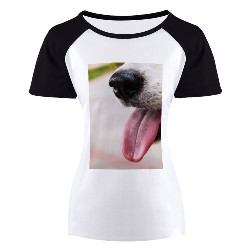 yanfind Women's Sleeve Raglan T Shirt Short Cute Dog Fur Little Outdoors Pet Portrait Puppy Young