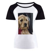 yanfind Women's Sleeve Raglan T Shirt Short Adorable Carrying Curiosity Cute Dog Fur Outdoors Pet Wear