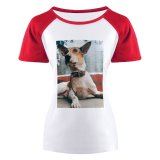 yanfind Women's Sleeve Raglan T Shirt Short Adorable Cute Daylight Dog Funny Glass Outdoors Pet Portrait Reflection Sit