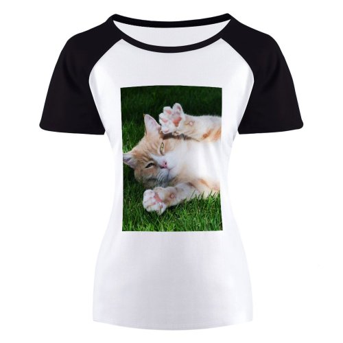yanfind Women's Sleeve Raglan T Shirt Short Adorable Cat Cute Downy Eyes Fur Kitten Little Paw Pet Whiskers