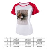 yanfind Women's Sleeve Raglan T Shirt Short Adorable Portrait Beagle Canidae Cute Dog Face Human's Friend Away