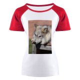 yanfind Women's Sleeve Raglan T Shirt Short Attentive Blurred Calm Comfort Creature Doghouse Ecosystem Fauna Fluff Fur Gaze Habitat