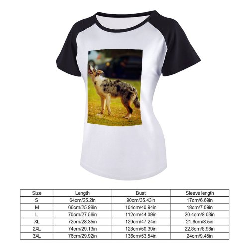 yanfind Women's Sleeve Raglan T Shirt Short Adorable Cute Dog Merle Pet Puppy