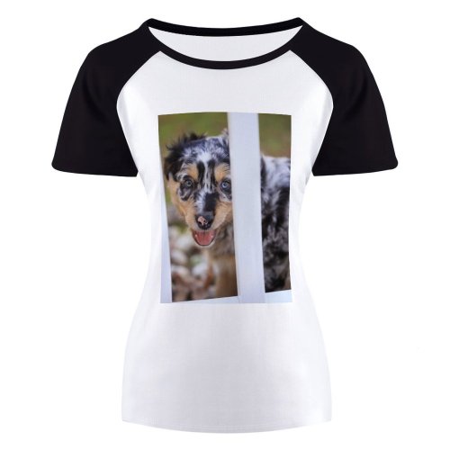 yanfind Women's Sleeve Raglan T Shirt Short Cute Dog Fur Little Pet Portrait Puppy Young