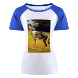 yanfind Women's Sleeve Raglan T Shirt Short Adorable Cute Dog Merle Pet Puppy