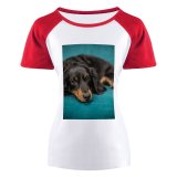 yanfind Women's Sleeve Raglan T Shirt Short Cute Dog Fur Pet Puppy Sit