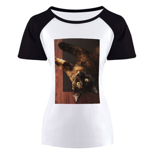 yanfind Women's Sleeve Raglan T Shirt Short Cat Face Cat's Eyes Focus Fur Furry Kitty Pet Whiskers