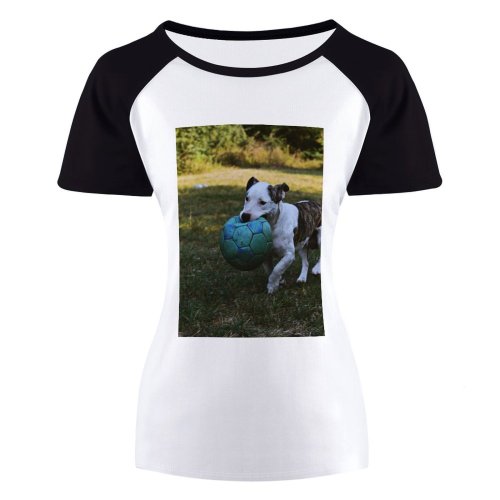 yanfind Women's Sleeve Raglan T Shirt Short Ball Daytime Dog Field Fur Grass Mouth Outdoors Outside Pet Playing Soccer