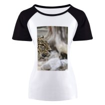 yanfind Women's Sleeve Raglan T Shirt Short Attention Big Cat Carnivore Danger Eyes Face Felidae Focus Fur Hunter