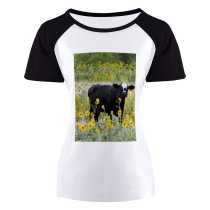 yanfind Women's Sleeve Raglan T Shirt Short Agriculture Cattle Countryside Cow Daylight Daytime Farm Farmland Field Flora Flowers Grass