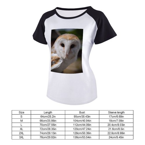 yanfind Women's Sleeve Raglan T Shirt Short Barn Bird Macro Wildlife