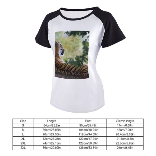 yanfind Women's Sleeve Raglan T Shirt Short Big Carnivore Cat Felidae Fur Grass Leaves Panthera Soil Stripes