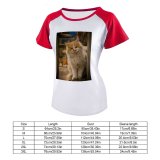 yanfind Women's Sleeve Raglan T Shirt Short Adorable Cat Cute Downy Eyes Fur Kitten Nose Pet Staring Whiskers