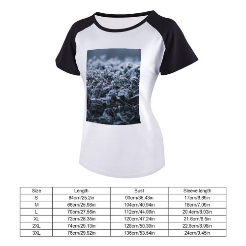 yanfind Women's Sleeve Raglan T Shirt Short Crystal Frost Frosty Frozen Grass Leaves Outdoors Season Snow Texture