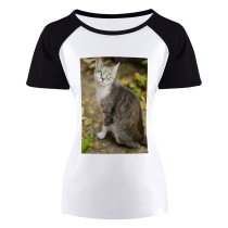 yanfind Women's Sleeve Raglan T Shirt Short Cats Cute Fur Grey Kitten Kitty Leaves Little Outdoors Pet Road Sit