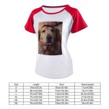 yanfind Women's Sleeve Raglan T Shirt Short Adorable Cute Depth Field Dog Focus Fur Furry Golden Pet Petting