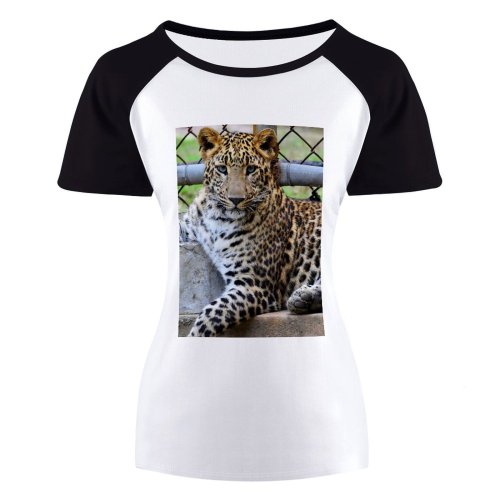 yanfind Women's Sleeve Raglan T Shirt Short Big Cat Carnivore Hunter Leopard Whiskers Wild Wildlife