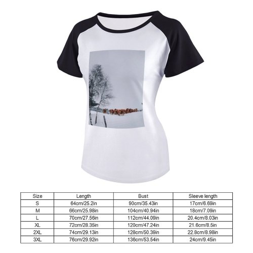 yanfind Women's Sleeve Raglan T Shirt Short Cows Daylight Daytime Freezing Frost Frosty Frozen Landscape Scene